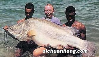 中国淡水鱼产量第一大省