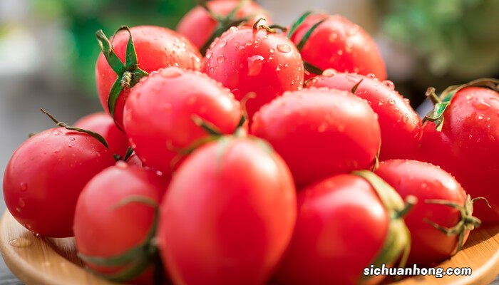 蕃茄叶子黄了什么原因造成的 蕃茄叶子黄了什么原因