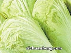 怎样挑选大白菜？大白菜的选购技巧