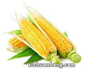 玉米要煮多久才熟透