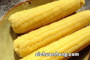 玉米要煮多久才熟透
