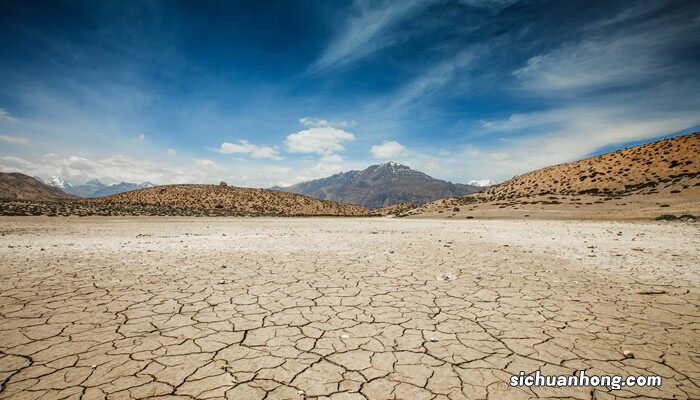 土地板结了用什么东西可以疏松