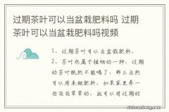 过期茶叶可以当盆栽肥料吗 过期茶叶可以当盆栽肥料吗视频