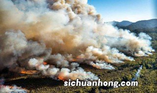 澳大利亚火灾事件简介 澳大利亚火灾从什么时候开始的