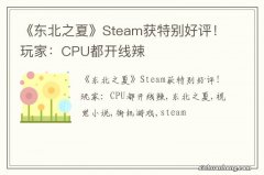 《东北之夏》Steam获特别好评！玩家：CPU都开线辣