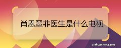 肖恩墨菲医生是什么电视 肖恩墨菲医生的电视