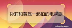 孙莉和黄磊一起拍的电视剧 孙莉和黄磊一起拍的电视剧是什么