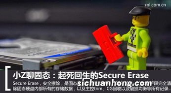 secure的名词