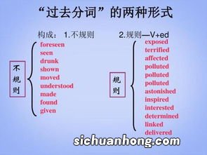 tidy的过去式和过去分词 tidy双语例句