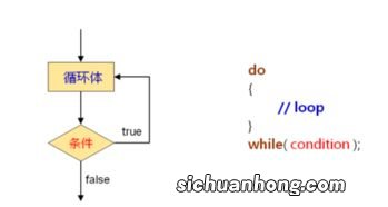 while的用法