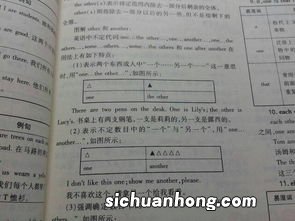 others的用法是什么 例句