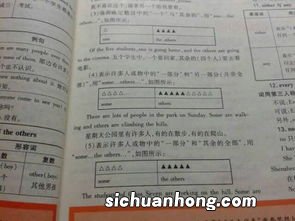 others的用法是什么 例句