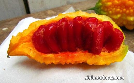 被外国人深深误解的中国水果 西瓜竟排第1名