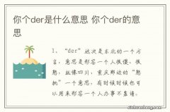 你个der是什么意思 你个der的意思