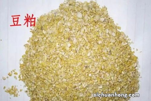 豆粕喂牛的使用方法