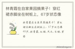 林青霞在自家果园摘果子！穿红裙赤脚坐在树桩上，67岁状态像40岁