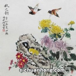 菊花的特点和象征意义