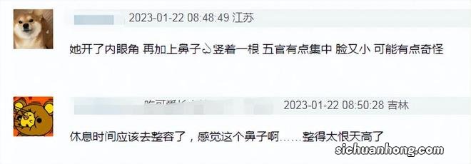 李子柒最新露面变样了，面颊僵硬山根粗大，被网友质疑做了医美