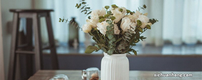 白色玫瑰代表什么含义 白色玫瑰代表什么