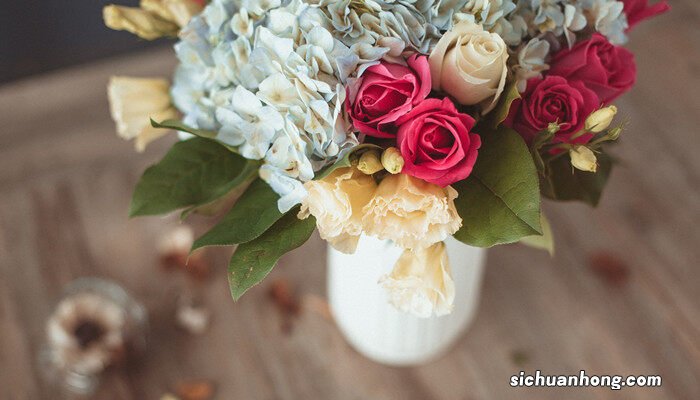 白色玫瑰代表什么含义 白色玫瑰代表什么