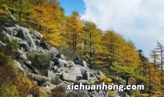 什么地方适合周末自驾游 什么地方适合周末自驾游玩