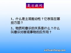 什么是正确发挥主观能动性的前提