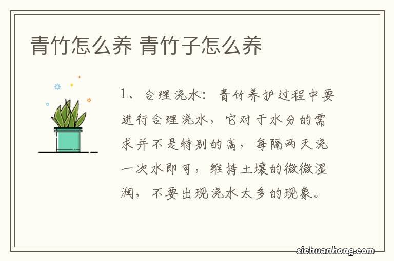 青竹怎么养 青竹子怎么养