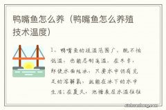 鸭嘴鱼怎么养殖技术温度 鸭嘴鱼怎么养