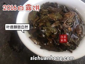 茶饼中间泡不开怎么办