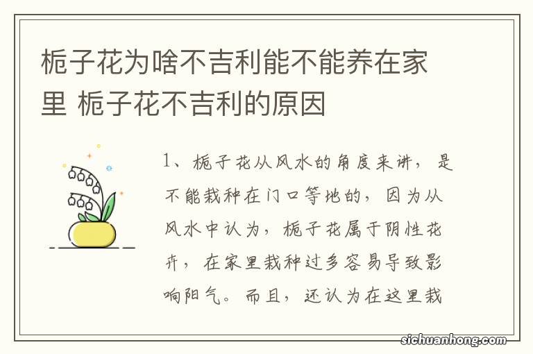 栀子花为啥不吉利能不能养在家里 栀子花不吉利的原因