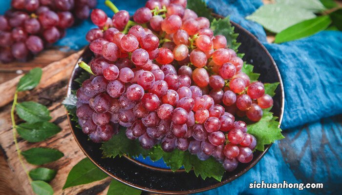 黑加仑树适合在哪里种植呢 黑加仑树适合在哪里种植