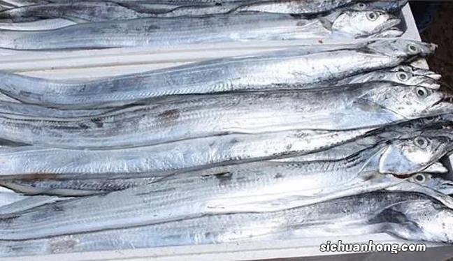 甲醛浸泡过的带鱼,一碰热油就扭曲、炸裂开花,千万别买别吃!