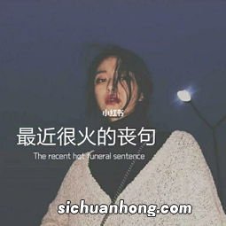 最近很火的丧句