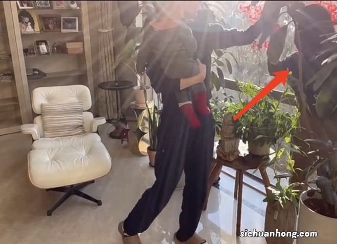 海哈金喜首晒与李亚鹏母亲同框,婆媳贴春联好和睦,豪宅装修简约