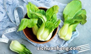 一年四季种菜时间表 一年四季种菜时间表详细介绍