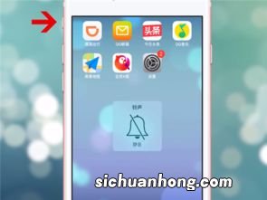 苹果8相机快门声怎么关