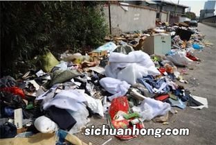 乱倒垃圾怎么处罚规定