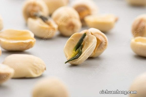 莲子有哪些功效与作用？莲子的药用价值有哪些？