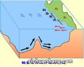 秘鲁渔场形成原因