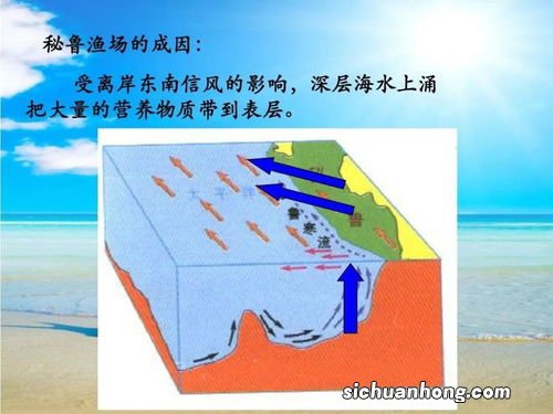 秘鲁渔场形成原因