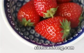 12月份是摘草莓的季节吗