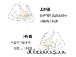 内衣别名叫什么