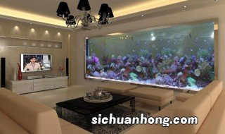 鱼缸位置的风水摆放客厅 鱼缸摆放在客厅的什么位置