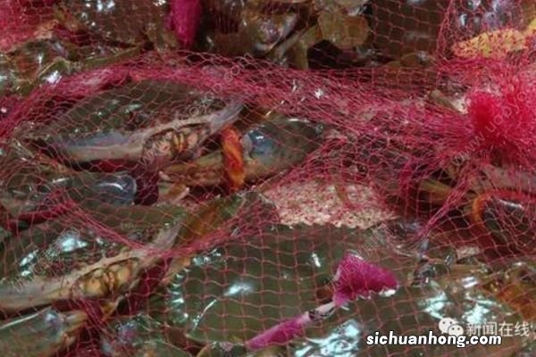 1家4口喝汤中毒2人不幸身亡,只因汤里加了这种东西