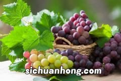 女性哪些情况不能喝豆浆?营养豆浆的制作方法有哪些?