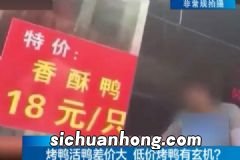 一家四口吃野蘑菇中毒,医生:夏季食物中毒高发