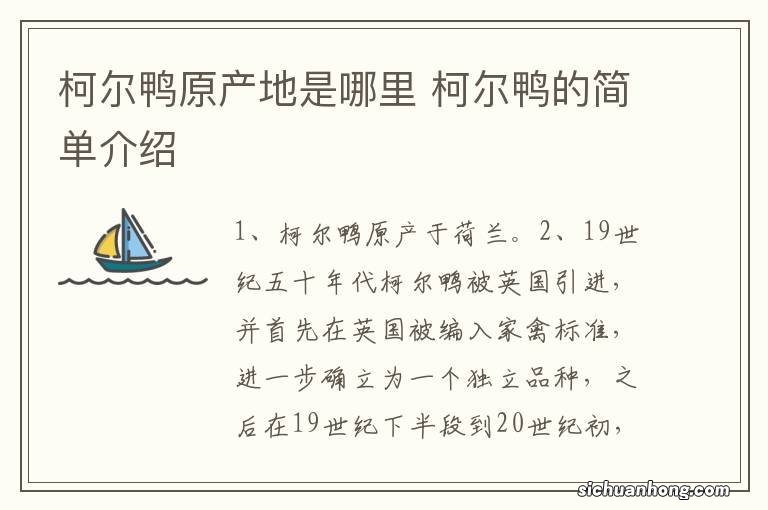 柯尔鸭原产地是哪里 柯尔鸭的简单介绍