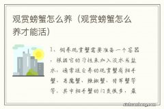 观赏螃蟹怎么养才能活 观赏螃蟹怎么养