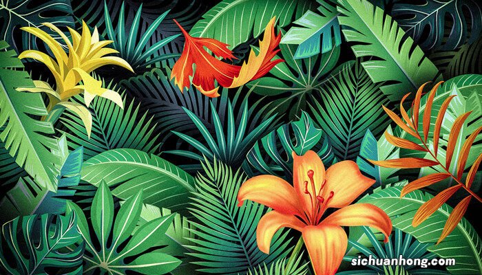 凤梨花开完花怎么办视频 凤梨花开完花怎么办