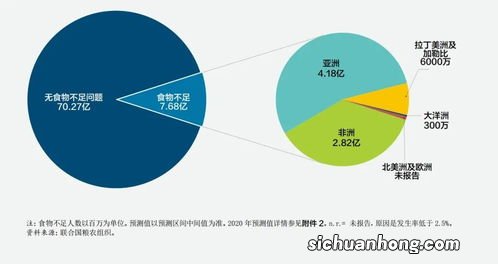 浪费粮食的数据